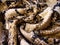 Beige fabric with animalistic snake skin print. Textile background.