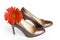 Beige-golden female new varnished shoes