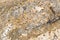 Beige granite texture