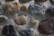 Beige and grey wall stones texture background outside.