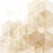 Beige hexagon background. polygonal style. abstract vector illustration eps 10
