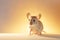 beige mouse isolated on beige background - Wallpaper