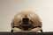 Beige nato military helmet on white background