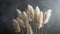 Beige pampas grass plumes against a dark background