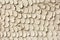 Beige plaster scales wall. Abstract background.