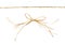 Beige raffia bow and rope