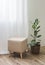 Beige soft ottoman, basket with ficus in the bright living room. Minimalism style interior