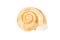 Beige spiral shell isolated