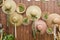 Beige straw hats and wicker baskets hanging on a wooden wall with plants