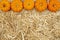 Beige straw hay background with pumpkins
