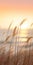 Beige Sunrise Grass: Fine Art Photography Of Long Grass Blowing By The Ocean At Sunset