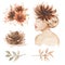 Beige wedding Flowers and bride girl Clipart set, Watercolor Caramel flowers elements and bouquets, Vintage  style girl