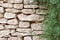 Beige white rough-cut rock wall with green plant