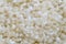 Beige wool carpet close-up. Frieze material carpeting. Limited depth of field