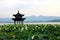 Beihai park scenery with pavilion and lotus in summer in Beijing,China