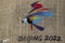 BEIJING 2022:  Freestyle Skiing Women`s