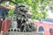 Beijing, China - May 20, 2018:View of the great lion and  Lama Temple Yonghegong, temple and monastery of the Gelug school