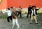 Beijing, China: Seniors Doing Tai\'Chi