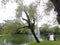 being part of nature, bridge over water