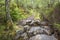 Beinn Eighe Trail