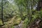 Beinn Eighe Trail