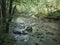 Beiu River at Cheile Nerei National Park, Romania