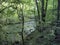 Beiu River at Cheile Nerei National Park, Romania