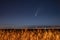 Belarus. 17 July 2020. Comet Neowise C/2020 F3 Shines Bright In The Night Starry Sky Above Young Wheat Field. Night