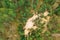 Belarus. Aerial View Of Mixed Forest. Afforestation. Entry Of Sandy Soil In Forest. Drone View Of European Woods At