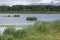 Belarus, Baranovichi, panorama: The Zhlobinsky lake and a grove on the opposite coast.