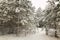 Belarus, Grodno, Molochnoe Lake. amphitheater on the beach in winter.