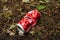 BELARUS, NOVOPOLOTSK - 14 JUNE, 2021: Crumpled Coca-Cola can in the grass