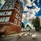 Belarus: sheep next to The Corpus Christi Catholic Church of Niasvish, Nesvizh, Nesvyzius, Nieswiezu