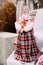 Belarusian Folk Doll. National Traditional Folk Dolls Are Popular