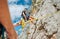 Belay device close-up shot with a boy on the cliff climbing wall. He hanging on a rope in a climbing harness and his partner