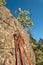 Belay station anchor prepared for abseiling the climbing wall