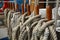 Belaying Pins, Secured Lines, Sailboat