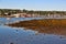 Belfast Maine harbor at low tide in early morning light