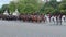 Belgian cavalry on parade, tradition uniform royal horse riders