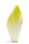 Belgian endive