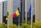 Belgian Flags Brussels