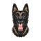 Belgian malinois dog colorful vintage template