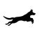 Belgian malinois dog jumping running silhouette logo