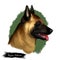 Belgian Malinois, Mechelaar, Mechelse Herder herding breed dog digital art illustration isolated on white background. Belgian