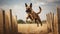 Belgian Malinois\\\'s Agility Training in the Field