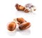 Belgian seashells traditional chocolate candies groups  on white background