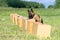 A Belgian Sheepdog searches for hidden object