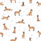 Belgian shepherd malinois seamless pattern. Different poses, coat colors set