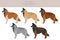 Belgian Tervuren clipart. Different poses, coat colors set