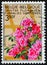 BELGIUM - CIRCA 1970: stamp 3.50 Belgian franc printed by Belgium, shows Floralia of Ghent IV - Azalea Simsii